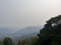 -黄埔油麻山森林公园