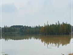 -白鹭湾湿地公园