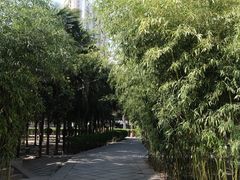 -万寿八仙宫