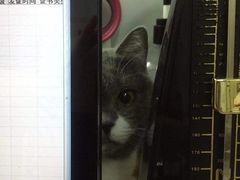 -音乐在线主题氧吧KTV(佳宁娜广场店)