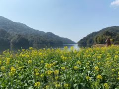 -广州市石门国家森林公园