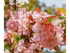 -洛阳市隋唐城遗址植物园