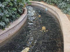 -郑州银基黄帝宫御温泉