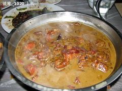 小鸡炖粉条-鸡炖兔