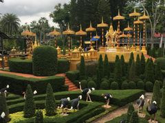 -东芭乐园