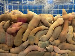 -松云居