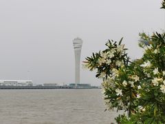 -上海吴淞炮台湾国家湿地公园