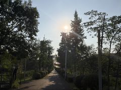-白鹭湾湿地公园