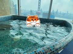 -上海凯宾斯基大酒店