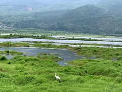 -腾冲北海湿地