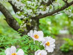 -江南大学(蠡湖校区)