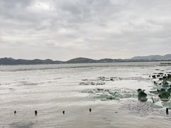 -东钱湖旅游度假区