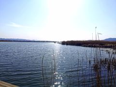 -野鸭湖国家湿地公园