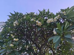 -青澳湾北回归线广场