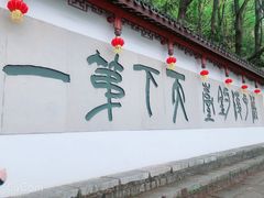 -严子陵钓台(富春江小三峡)