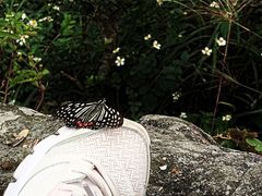 -银瓶山森林公园(谢岗镇)