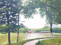 -映月湖公园