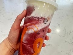-CoCo都可(宁晋天一广场店)