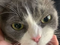 -pd派德宠物中心医院24H急重症·眼科中心·血液透析中心(嵩山北路店)