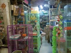 -大自然花鸟鱼虫市场