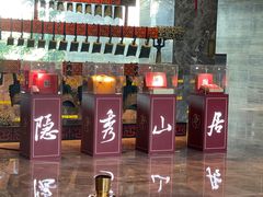 -深圳隐秀山居酒店