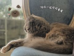 -塔拉苏咖啡(中信丹阳花园店)