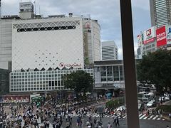 -涩谷区