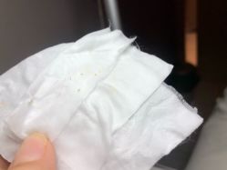 -三只熊皮肤管理中心