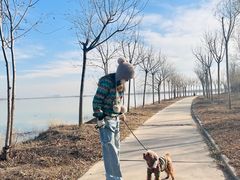 -天津东丽湖风景区