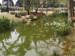 -人民公园(罗湖区)