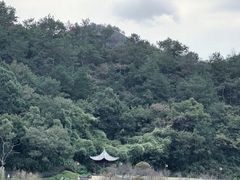 -东钱湖旅游度假区