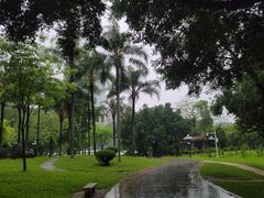 -荔枝公园(福田区)