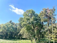 -野蔓果·山野菜(西湖景区·龙井茶田店)