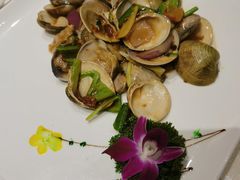 姜葱炒沙白-大东海海鲜酒楼(渔人码头总店)