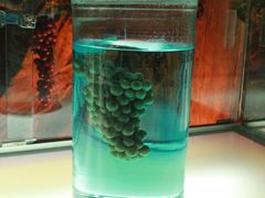 -青岛葡萄酒博物馆