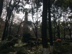 -绵阳人民公园(涪城区)