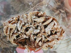 -泰康食品(南京东路店)