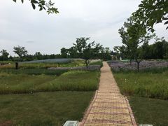 -同里国家湿地公园