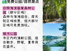 -日照海滨国家森林公园