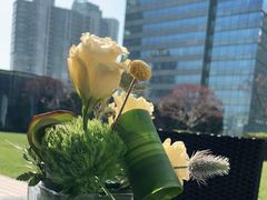 -花园5號餐厅