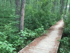 -塞罕坝国家级自然保护区