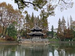-习家池