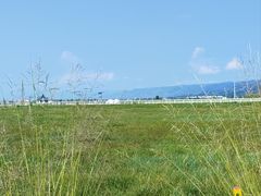 -敕勒川草原