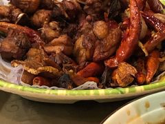 歌乐山炒鸡-福利来酒店(泺源大街店)