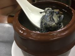 花旗参炖竹丝鸡-沙湾姜撞奶甜品店(昌岗中路店)