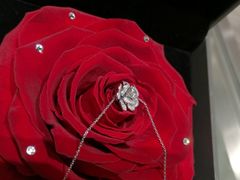 -ROSEONLY诺誓(磐基中心店)