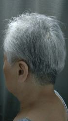 -潘多拉Hairsalon