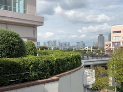 -台场海滨公园船码头