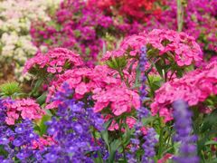 -广州市白云山风景名胜区