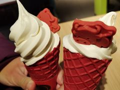 -麦当劳(农光里店)